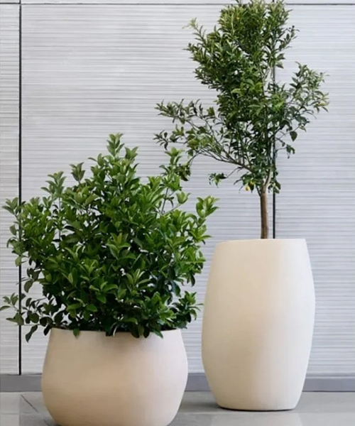 Planter